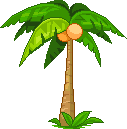 coconut